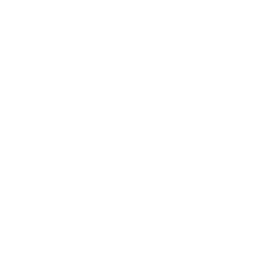 Logo Car Cosmetic
